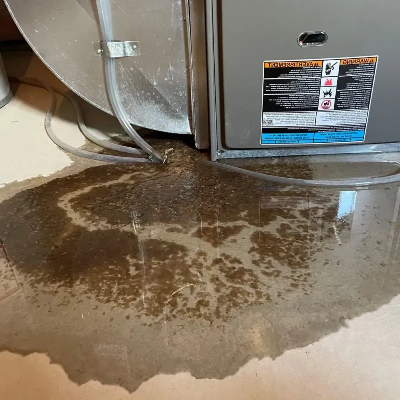 Pipe Burst and Leak Restoration in Legend Lake, WI