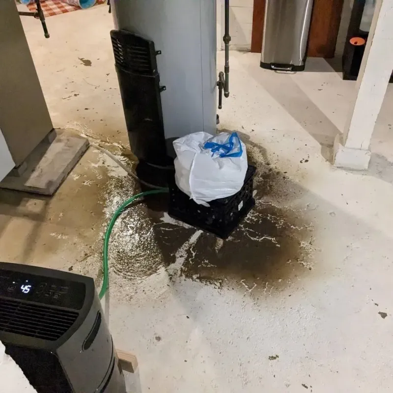 Sewage Backup Cleanup Service in Legend Lake, WI